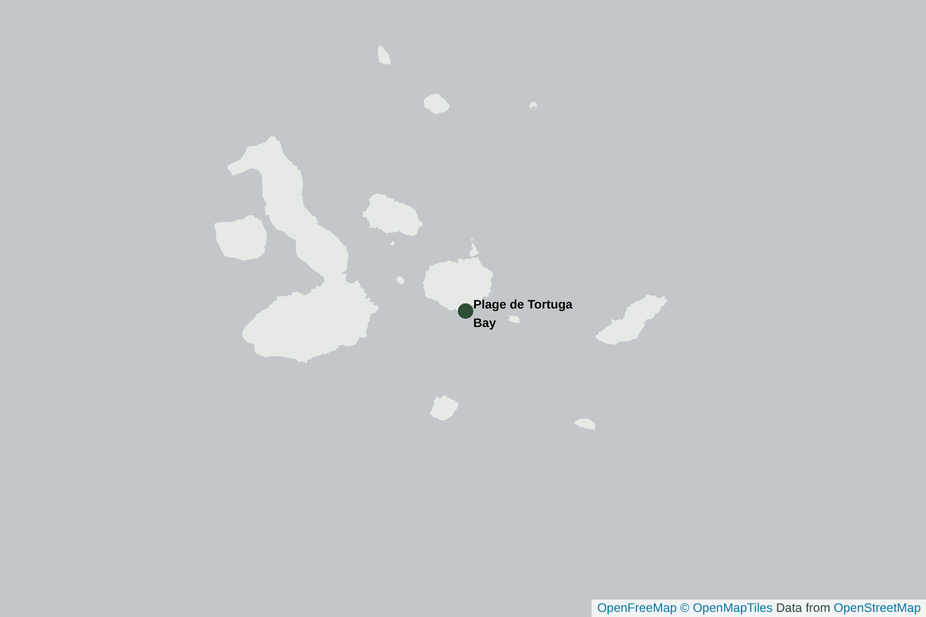 Carte de Plage de Tortuga Bay